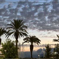 Flyswatter - Come Back