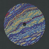 Shed - Applications