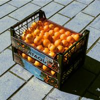 didier - Guataquí (Berroche)