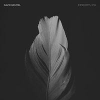 David Grumel - Impromptu N°8 (Version live)