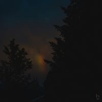 Fima - Fragile Light