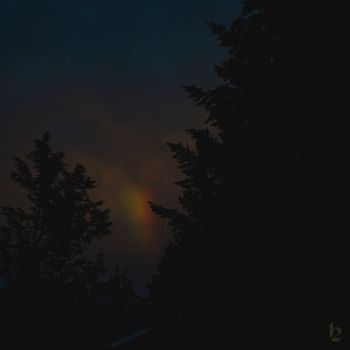 Fima - Fragile Light