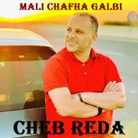 Cheb Reda - mali chafha galbi