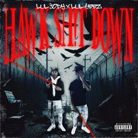 GEEZ - Hawk Shit Down (Explicit)
