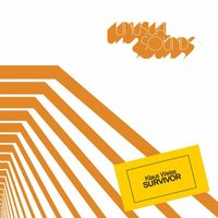 Klaus Weiss - Survivor