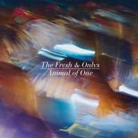 The Fresh & Onlys - Animal of One b/w How High Was I