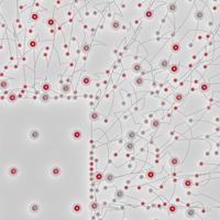 Love Over Entropy - NLC