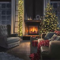 Remy - Christmas time at home