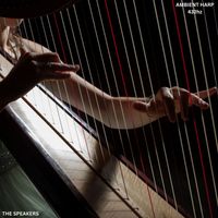 THE SPEAKERS - Ambient Harp- 432hz