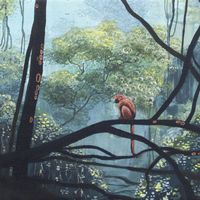 Sadhu Sensi - Astavakra