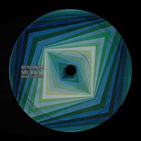 SYNDRØM - MURKY MODULATIONS
