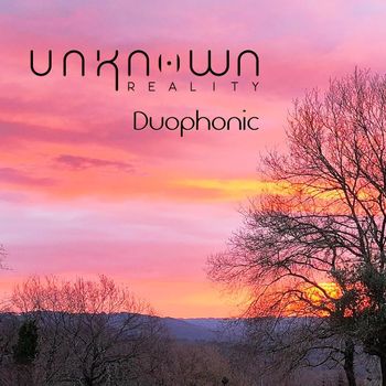 Unknown Reality - Duophonic