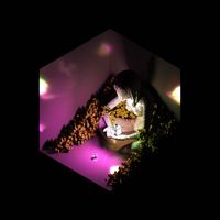 plusol - Dewdrop