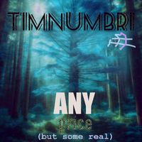 Timnumbr1 - Any Price (But Some Real)