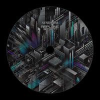 SYNDRØM - AIRPLANE SECURITY