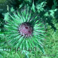 Unknown Reality - A blob of atoms