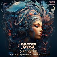 DoctorSpook, Shegal - Prototypical Transduction