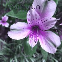Unknown Reality - Miss Purple - The Elve