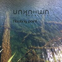 Unknown Reality - Floating Point