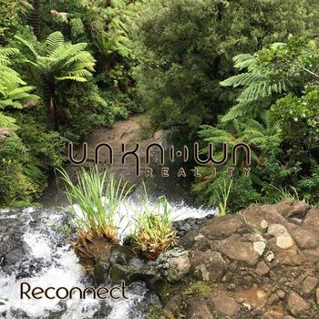 Unknown Reality - Reconnect