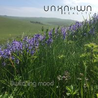 Unknown Reality - Switching Mood