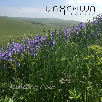Unknown Reality - Switching Mood