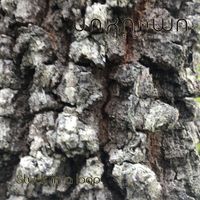 Unknown Reality - Stuck In a Loop