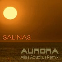 Salinas - Aurora (Aries Aquarius Remix)