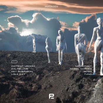 Various Artists - PMVA003