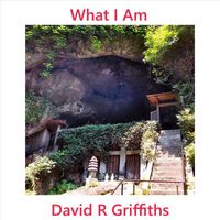 David R. Griffiths - What I Am