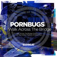 Pornbugs - Walk Across the Bridge