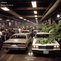 Feyln - The Way We Used 2B