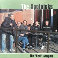The Spotnicks - The "Real" Amapola