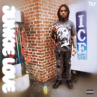T.A.Y - Junkie Love (Explicit)