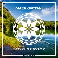 Mark Gaetani - Tao Pun Castor
