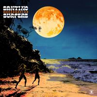 Santino Surfers - Moondancing