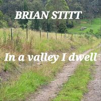 Brian Stitt - In a Valley I Dwell