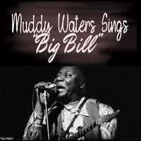 Muddy Waters - Muddy Waters Sings "Big Bill"