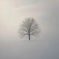 Jonas Gewald - Warmth