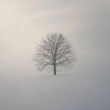 Jonas Gewald - Warmth