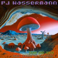 Pj Wassermann - Food for Gods (Club Remix by Illinton)