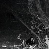 MORPHEUS - SKINWALKER (Explicit)