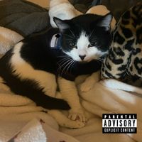 Matthew Reid - You Are Happy, Right? (Explicit)