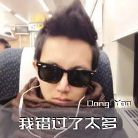 Dong Yan - 我错过了太多