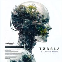 T3ssla - Calm The Inside