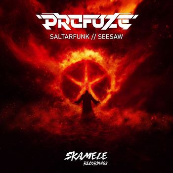 Profuze - Saltarfunk/Seesaw