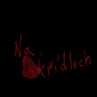 Samat - Na křídlech