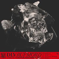 DLV - Rufmord