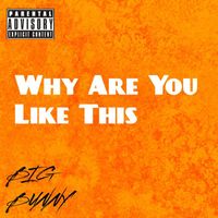 BIG BUNNY - Why Are You Like This (Explicit)