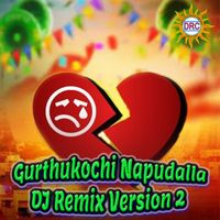Ramu - Gurthukochi Napudalla (DJ Remix Version 2)